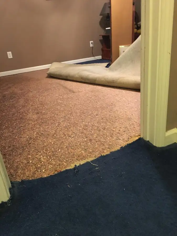 Carpet pad removal revealing water damage during Water Mitigation Services in Spring Lake